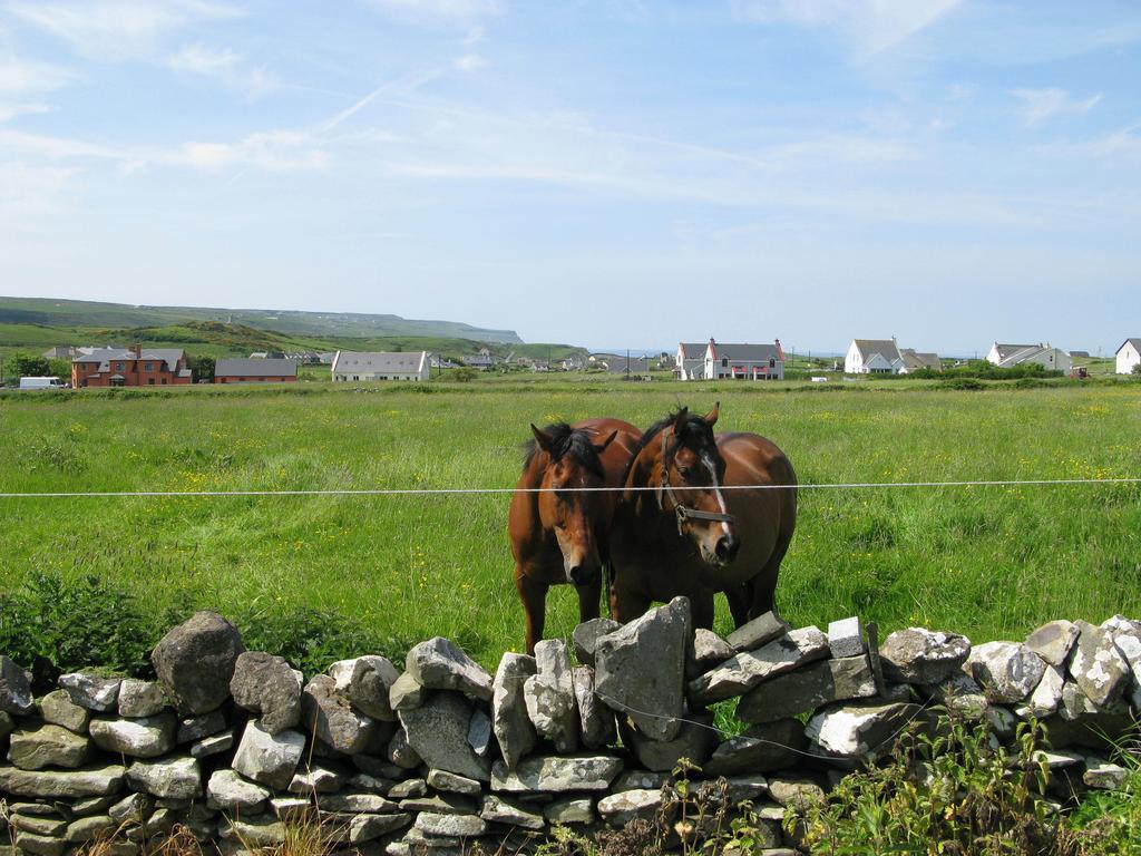 Nellie Dee's Bed and Breakfast Doolin Buitenkant foto